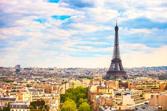 Paris is the largest city and capital of France.